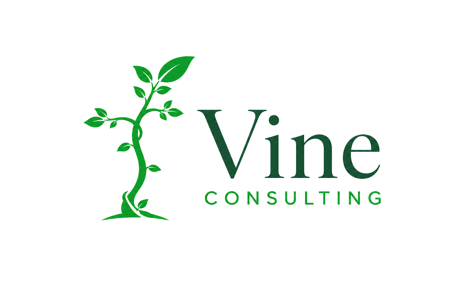 Vine Consulting